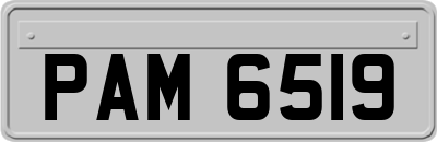 PAM6519