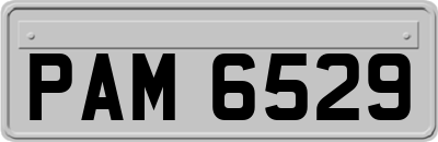 PAM6529