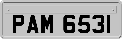 PAM6531