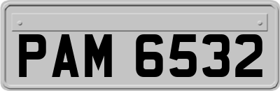 PAM6532