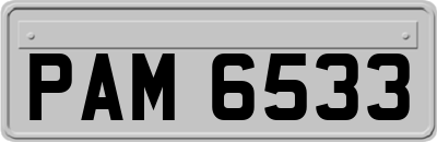 PAM6533