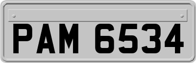 PAM6534