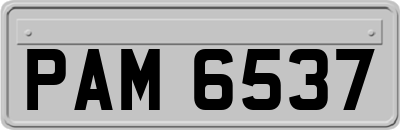 PAM6537