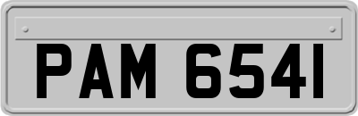 PAM6541