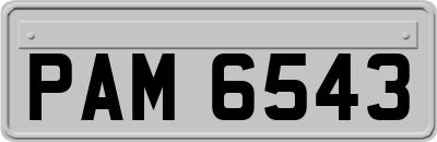 PAM6543
