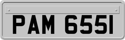 PAM6551