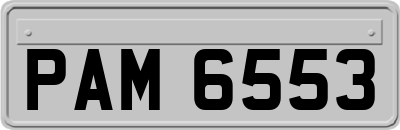 PAM6553