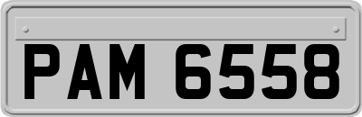 PAM6558