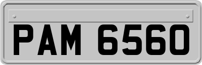 PAM6560