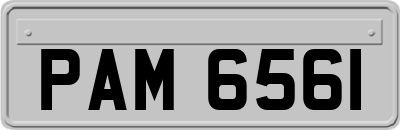 PAM6561