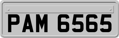 PAM6565