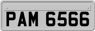 PAM6566