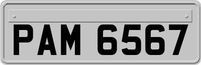 PAM6567