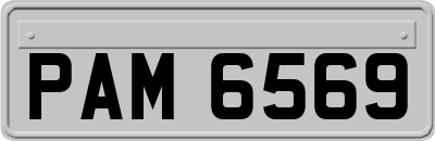 PAM6569