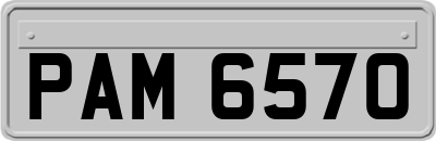 PAM6570