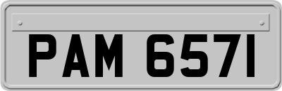 PAM6571
