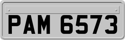 PAM6573