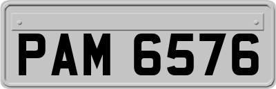 PAM6576