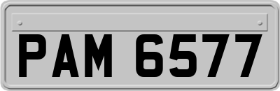 PAM6577