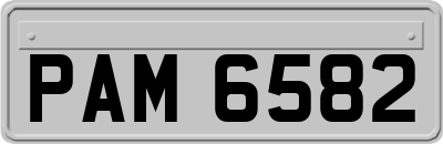 PAM6582