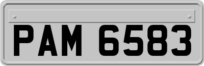 PAM6583