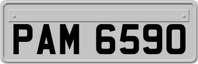 PAM6590