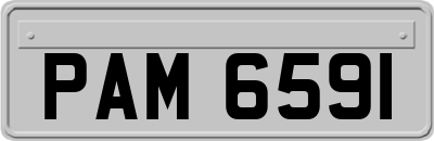 PAM6591