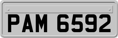 PAM6592