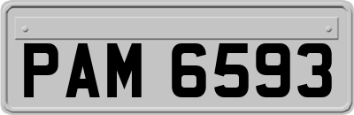 PAM6593