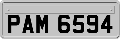 PAM6594