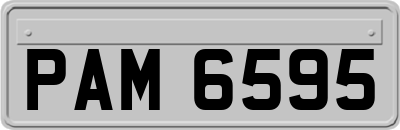 PAM6595