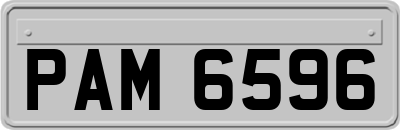 PAM6596