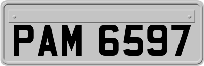 PAM6597
