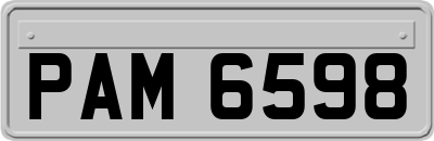 PAM6598