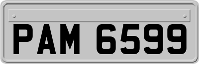 PAM6599