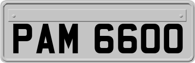 PAM6600