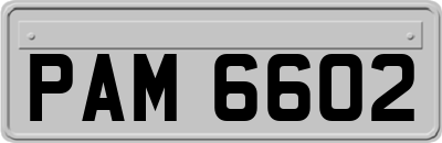 PAM6602