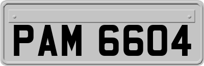 PAM6604
