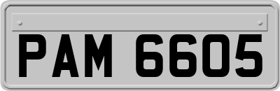 PAM6605