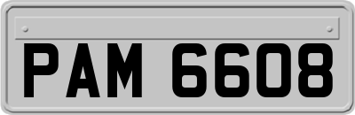 PAM6608