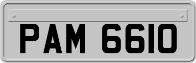 PAM6610