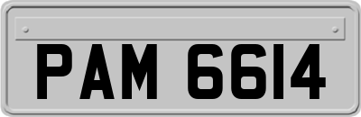 PAM6614