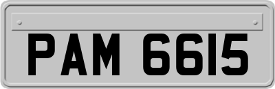 PAM6615