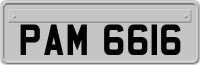 PAM6616