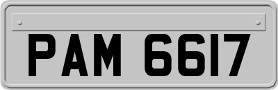 PAM6617