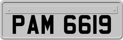 PAM6619