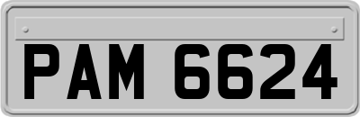 PAM6624