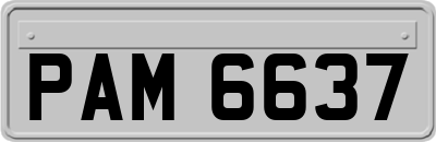 PAM6637