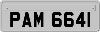 PAM6641