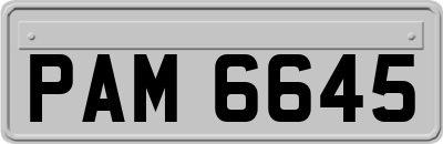PAM6645